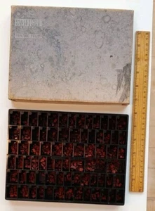 Vintage SWIFTSET 8590 Type Set Letters for Printing Press Rubber Blocks 1/8" - Picture 1 of 14