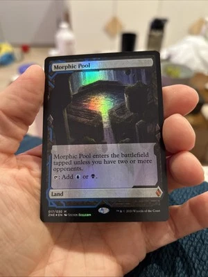MTG Magic The Gathering Zendikar Rising Expedition NM Foil Morphic Pool - Image 1 of 2