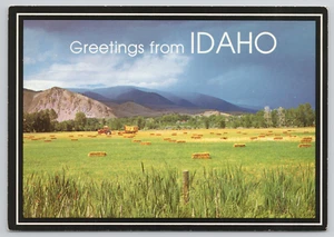 Postcard Idaho Greetings Harvest on the Farmlands Continental 4x6 - Picture 1 of 2