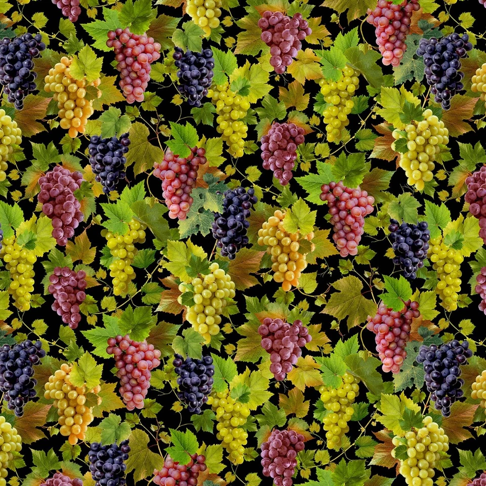 Michael Miller Viva Vino DCX11560 Black Grape Vines   Cotton - Imagem 1 de 1