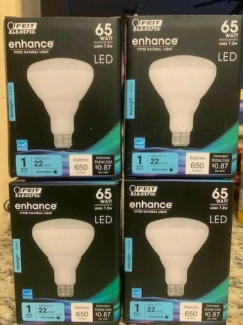 12 PACK BR30 FEIT Electric Flood 65W replacement bulbs 650 Lumens Daylight NEW - Image 1 of 1
