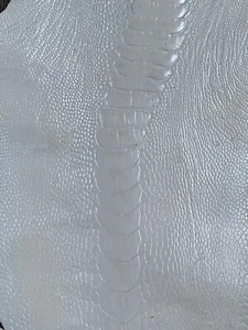 GENUINE OSTRICH LEG SKIN LEATHER HIDE EXOTIC LEATHER - Picture 1 of 5