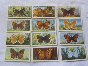 British Butterflies Cards - Brooke Bond Tea (1963) - Picture 1 of 2