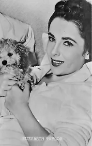 1960er Filmstar Schauspielerin wunderschöne Elizabeth Taylor mit Hund Postkarte 25-2513 - Bild 1 von 2