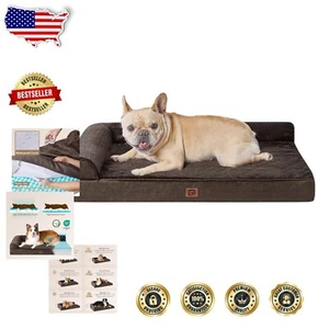 Orthopedic Memory Foam Dog Bed - Waterproof with Removable Cover, 30x20 Inches - Picture 1 of 11