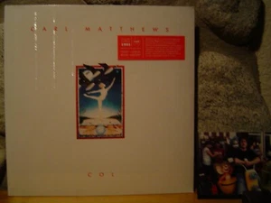 CARL MATTHEWS Col LP/1992/Rare Cassette/Ambient/Electronic/Synth/Tim Blake - Picture 1 of 2