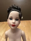 Tonner Raven Black Hair Updo Nude Loose Doll 18” Kitty Collier Scarlett Glamour