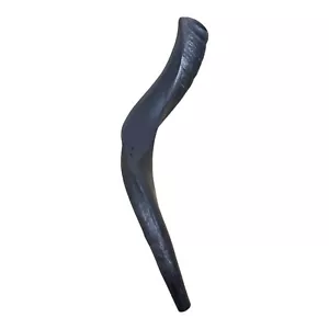 Shofar Kosher Yemenite Kudu Horn 18''-20'' New Made in Jerusalem ✡Free Shipping✡ - Picture 1 of 9