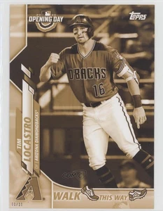 2020 Topps Opening Day Topps.com Online Exclusive 5x7 Gold /10 Tim Locastro - Picture 1 of 3