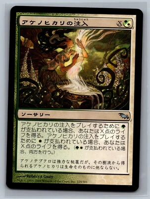 Magic The Gathering JAPANESE Shadowmoor Dawnglow Infusion #225/301 MTG TCG CCG - Image 1 of 2