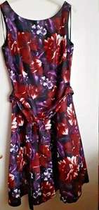 Dickins & Jones Occasion Dress Size 14 Gorgeous Floral Fabric - Picture 1 of 12