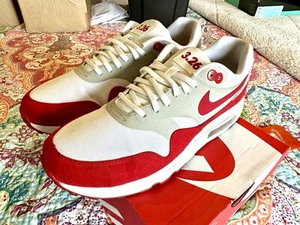 Nike Air Max 1 Ultra 2.0 Air Max Day Größe 8,5 Herren leicht gebraucht schnell 🚢 - Bild 1 von 9