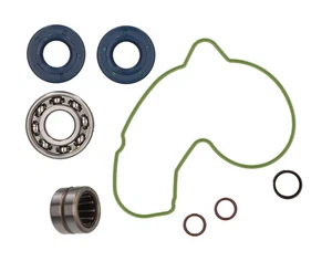 HOT RODS Bomba de Agua Reperatur Kit Apto An Husqvarna FC 250 350 14-15 Fe 14-16 - Imagen 1 de 1