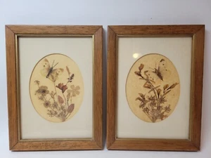 Set of 2 Matted Gold Framed Pressed Flower Butterfly Art Dated 1972 5x7 - Picture 1 of 6