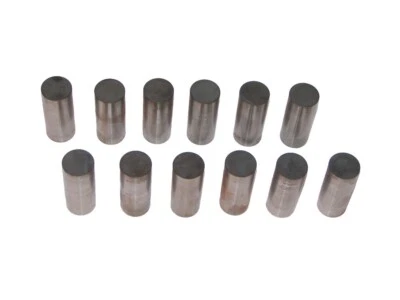 12 elevadores de válvulas International Harvester IHC BG220 BD220 SD220 BD240 SD240 BD264 Foto 1 de 2