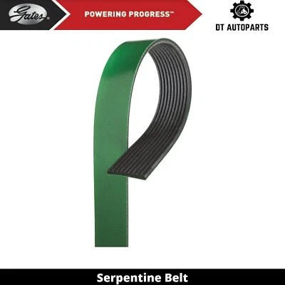 For 2008 Freightliner Classic XL 14L L6 DIESEL Serpentine Belt For Fan Gates - Image 1 of 4