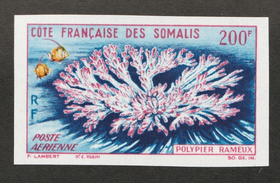 1963 Somali Coast - Sc# C30 Imperforate (airmail) - Branch Coral. MNH Cv$12+ - Image 1 of 1