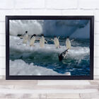 ice berg antartica penguins diving cute Wall Art Print