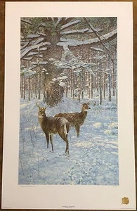 George McLean "Winter Deer - White Pine" S/N Ltd Ed Print #361/450 - Picture 1 of 6