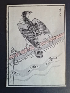 Antique c.1890 Japanese woodblock print - Perched Falcon - Kikuchi Hobun - Picture 1 of 3