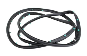 Restripa meteorológica puerta trasera izquierda Ford Edge 2015-2023 Ft4z-5825325 - Imagen 1 de 6