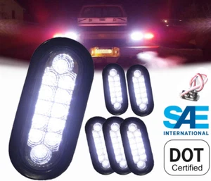 6 Bright WHITE Oval Back-up Reverse Fog LED Light Grommet Plug TRUCK TRAILER - Foto 1 di 9