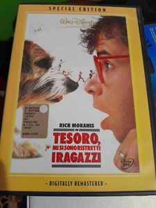 dvd schatz ich habe mich verengt Jungs - Bild 1 von 1