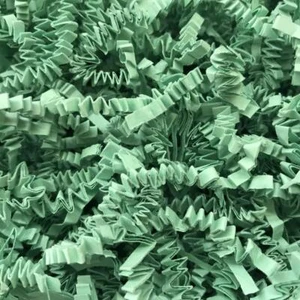 Mint Crinkle Cut Paper 1/2LB Shred Gift Wrap Basket Filler Packaging Decoration - Picture 1 of 1