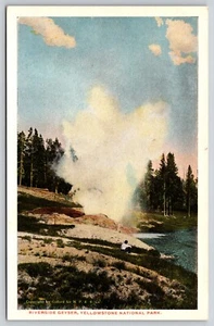 Postal Riverside Geyser Yellowstone Parque Nacional Geotérmica Bloom Bros Co - Imagen 1 de 2