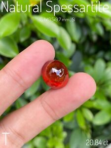 Gorgeously Beautiful Huge 20.84 ct Natural Untreated Spessartite Cabochon
