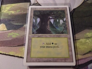 1994 Magic the Gathering Forest Revised Edition Mint Old School 93/94 - Picture 1 of 1