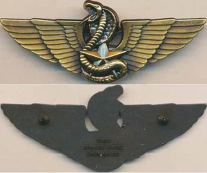 FORCES SPECIALES COMMANDO C.P.I.S, Moniteur de Combat Spécialisé, C.T.E, bronze - Picture 1 of 1