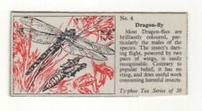 Typhoo Tea 1955. Stream inhabitants. Dragon-fly