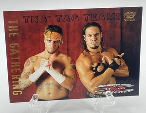 Rare 2004 Pacific TNA Tag Teams The Gathering Julio Dinero CM Punk Rookie RC #4 - Picture 1 of 4
