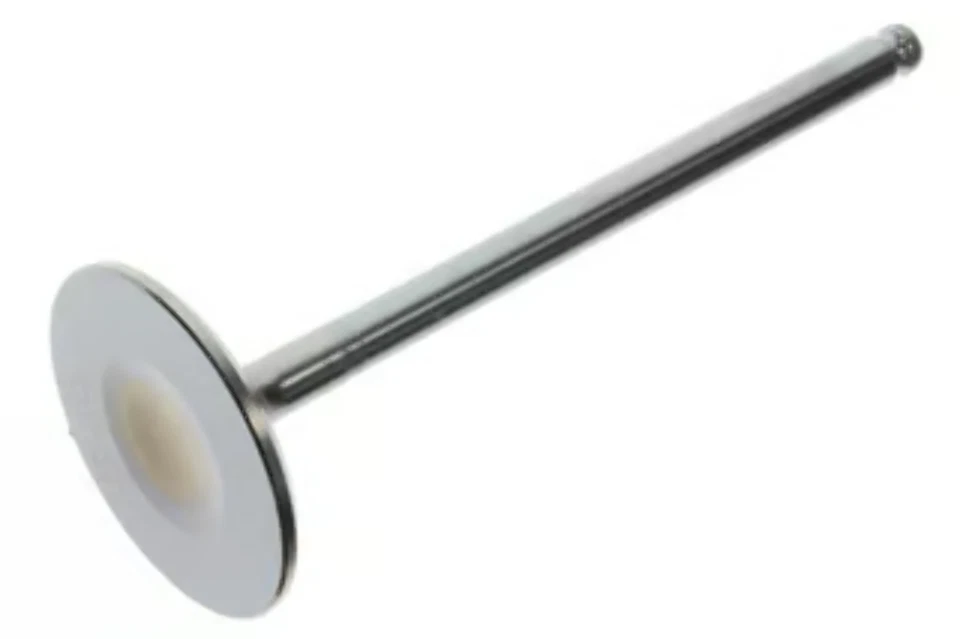 Válvula de admisión OEM 2014-2024 YAMAHA YZ250F YZ250FX WR250F 1SM-12111-00 Foto 1 de 1