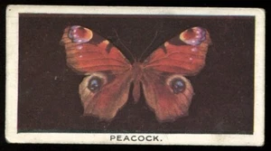 Tobacco Card, Godfrey Phillips, BRITISH BUTTERFLIES, 1923, Peacock, #3 - Picture 1 of 2