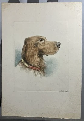 Eau forte couleur représentant un Epagneul Dans l'esprit de Léon DANCHIN signée - Photo 1/4