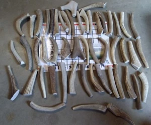 5 lbs SMALL Natural ELK Deer Antler Dog Chews Treats Medium Hard/Hard Mix :) - Picture 1 of 1
