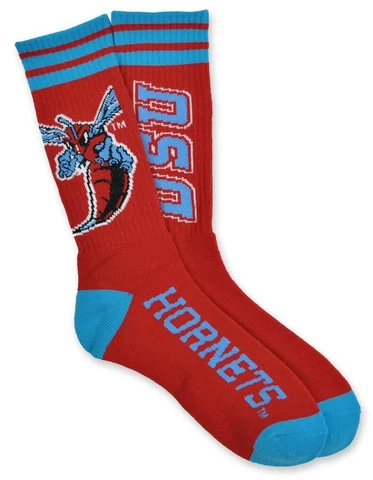 Delaware State University Socks-New! Cover