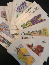 Flowers all the year round Craven Black Cat Cigarette Cards