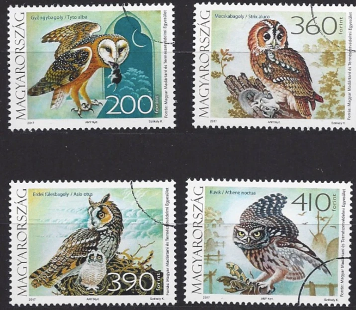 HUNGARY-2017. SPECIMEN -Owls / Barn Owl /Brown Owl / Long-Eared Owl / Little Owl - Image 1 of 1