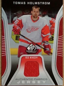 06-07 TELA JERSEY USADA TOMAS HOLMSTROM CUBIERTA SUPERIOR SP JUEGO - Imagen 1 de 2