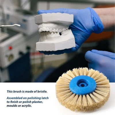 Dental Laboratory Polishing Brush nature white bristle 4 Rows Straight Type - Image 1 of 4