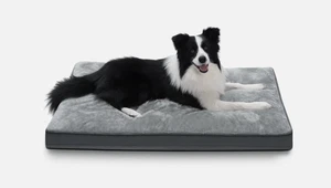 Walpetmar 35" Waterproof Dog Bed for Large Dogs with Removable Washable Cover - Picture 1 of 7