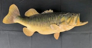 Vintage Taxidermy Largemouth Bass 24” Long Wall Mount - Picture 1 of 14