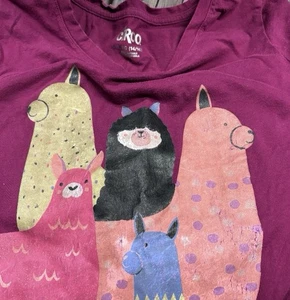 Llamas Shirt Girls 14/16 Long Sleeve Dopamine Colorful Animals Nature Fun Cute - Picture 1 of 2