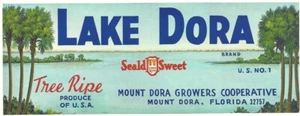 Lake Dora Brand Citrus Fruit Crate Label Mt. Dora Growers Co-op Mt. Dora,Florida - Picture 1 of 1