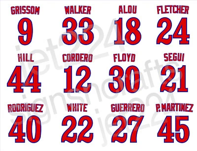 Montreal Expos DECAL STICKER 90s Walker Alou Cordero Martinez Floyd Grissom + - Image 1 of 4