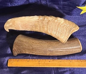 Signed B. Merry Eagle Antler Hand Carved Sculpture ~ Alaska - Picture 1 of 7