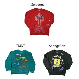 Character Boys Crewneck Relaxed Fit Soft French Terry Sweatshirt - Picture 1 of 13